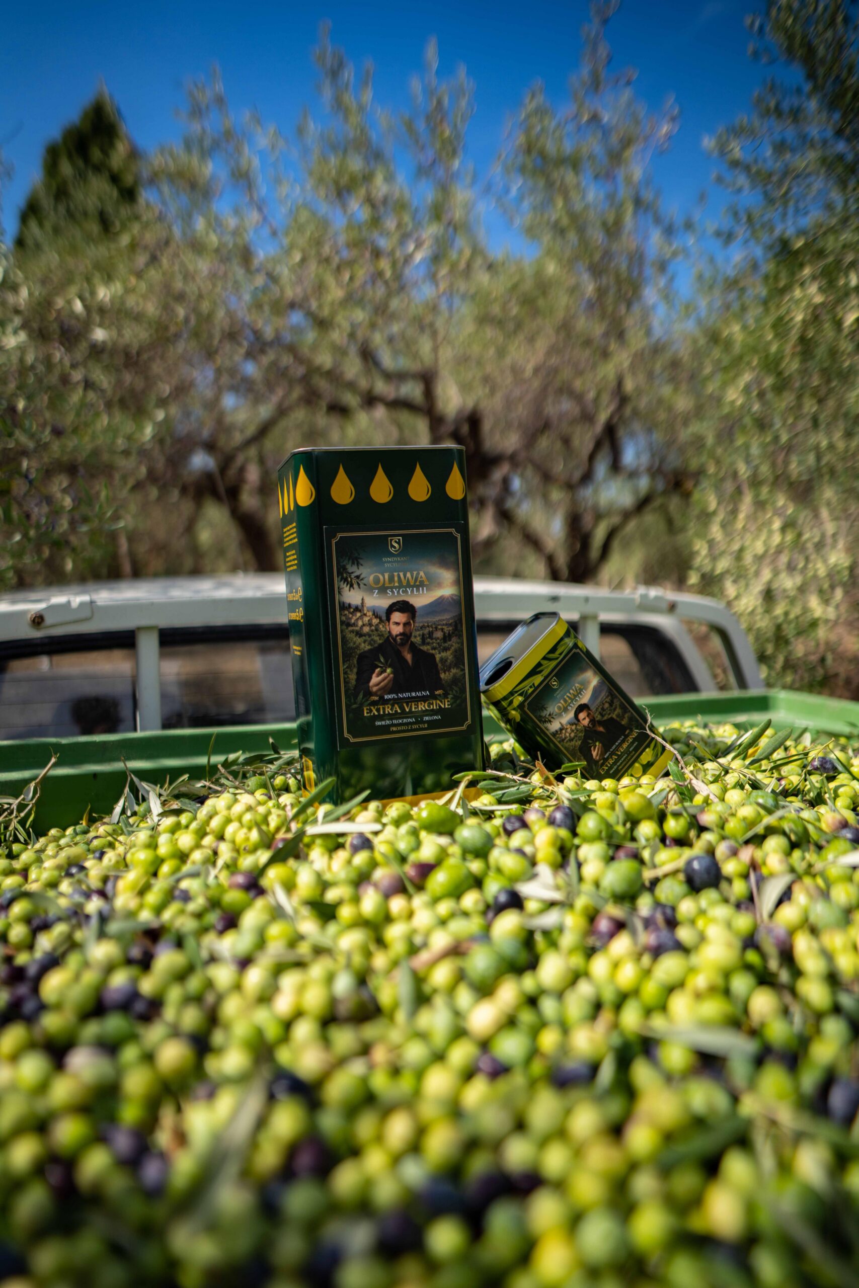 Freshly Pressed Olive Oil 5L – 2026